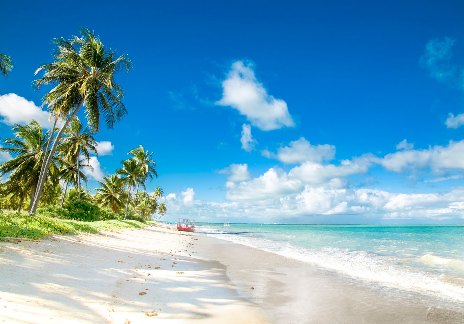 Praia do Patacho, meu paraíso do momento. Vem conhecer!